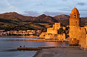 France, Pyrenees Orientales, Cote Vermeille, Collioure at dawn, royal castle and church of Notre Dame des Anges