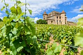 France, Saone et Loire, Maconnais vineyard, Solutre Pouilly, hamlet of Pouilly, Pouilly castle