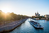 France, Paris, area listed as World Heritage by UNESCO, Ile de la Cité, Notre Dame de Paris, riverboat