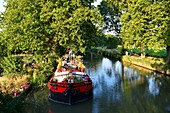 France, Herault, Cers near Beziers, Canal du Midi listed as World Heritage by UNESCO