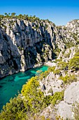France, Bouches du Rhone, Marseille, the Calanques National Park, the cove of En Vau