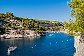 France, Bouches du Rhone, Cassis, the Calanques National Park, the cove of Port Miou