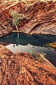 Felsenschlucht der Hamersley Gorge im Karijini Nationalpark in Westaustralien, Australien, Ozeanien