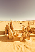 Off-road vehicle at the Pinnacles in the Nambung National Park in Western Australia Australia, Oceania;