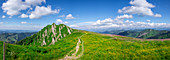 Panorama mit Wanderweg mit Blumenwiese im Gebirge der Nagelfluhkette im Sommer, Allgäu, Oberstaufen, Bayern