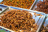 STAND OF GRILLED INSECTS (SILKWORMS, GRASSHOPPERS, CRICKETS, CICADAS), EVENING MARKET, BANG SAPHAN, PROVINCE OF PRACHUAP KHIRI KHAN, THAILAND