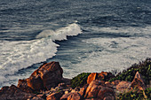 Wilyabrup sea cliffs bei Margaret River, Westaustralien, Australien, Ozeanien