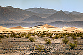 Mesquite Flat Sand Dunes, Death Valley Nationalpark, Kalifornien, USA
