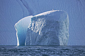 Disco Bay in West Greenland; Kangia ice fjord near Ilulissat; split iceberg in front of a huge wall of ice; a seagull is resting on the tip of the iceberg; the still low sun only irradiates part of the iceberg; Ice and water surfaces glow in different shades of blue; from light turquoise to dark blue gray;