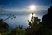 Meer mit Sonne an der Burg von Lipari, Liparische Inseln, Süd- Italien
