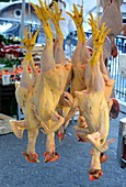 dead chickens hung up in the market, Catania, east coast, Sicily, Italy