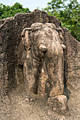 Felselefant, Dhauli, Bhubaneshwar, Odisha, Indien