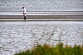 Crab collector in the Leisure Island Lagoon, Knysna, Garden Route, South Africa, Africa