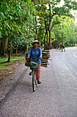 Cambodia, Siem Reap, Transport of wood with bicycle