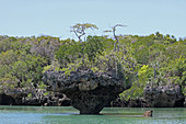 Rocky edges of mangroves and mangrove islets in ocean, off the coast of Zanzibar, Unguja Island, Tanzania.\n