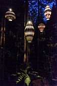 Rotorua, New Zealand - November 11, 2017: Outdoor Lighting by David Trubridge in the Redwoods Treewalk. Visitors can explore Rotorua’s Redwood forest under David Trubridge lighting installation at night, which has a total of 30 lantern.