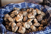 White truffle. Tuber Magnatum Pico,  collected in the local woods and on sale during the November fair