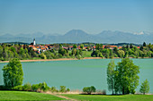 Tachinger See mit Ortschaft Tettenhausen und Salzkammergutbergen im Hintergrund, Tachinger See, Benediktradweg, Oberbayern, Bayern, Deutschland