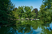 Small lake in the palm garden in Frankfurt, Germany