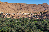 View of the oasis town of Thingir, Morocco