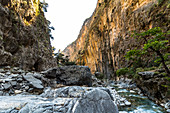 Klarer Fluss zwischen Felswänden in Samaria Schlucht, Westen Kreta, Griechenland