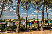 Wäsche auf einer Leine, Buonconvento, Toskana, Italien