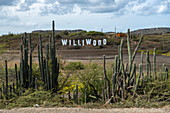 Dieses 'Williwood'-Schild erinnert an das berühmte 'Hollywood'-Schild, nahe Willibrordus, Curaçao, Niederländische Antillen, Karibik