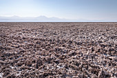 dry brine at Laguna Chaxa, Salar de Atacama Desert, Antofagasta Region, Chile, South America