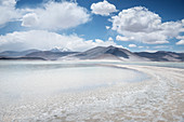 Lagune Piedras Rojas, Lagunas Altiplanicas, Hochebene „Altiplano“, Atacama Wüste, Region Antofagasta, Chile, Südamerika