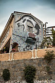 Street art in the streets of Valparaiso, Chile, South America