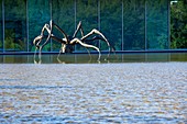 France, Bouches du Rhone, Le Puy Sainte Reparade, Chateau La Coste, Crouching Spider 6695 Louise Bourgeois (Compulsory Mention)