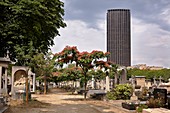 France, Paris, Montparnasse Cemetery and Tower