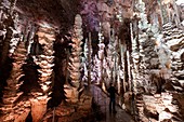 Frankreich, Lozère, Causses und Cevennen, mediterrane Kulturlandschaft, UNESCO Weltkulturerbe, Meyrueis, Höhle Aven Armand auf Causse Mejean