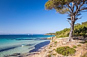 France, Var, Iles d'Hyeres, national park of Port-Cros, Island of Porquerolles, the beach of Coutarde