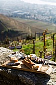 Frankreich, Drome, Tain-l'Hermitage, Rhonetal, Blick vom Hügel auf Tain und den Weinberg der Eremitage, Weinprobe