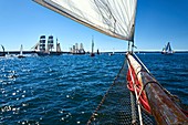 Frankreich, Finistère, Brest, Les Fetes Maritimes 2016, Segelboot.