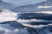 Frankreich, Alpes-de-Haute-Provence, Regionaler Naturpark Verdon, Grand Canyon von Verdon, die Klippen des Samson-Korridors tauchen aus dem Nebel auf