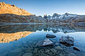 France, Alpes de Haute-Provence, national park of Mercantour, Haut-Verdon, lake of Allos (2226m), reflection of the Montagne du Laus and Tours of the Lake on the surface of the lake