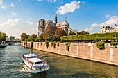 Frankreich, Paris, UNESCO Weltkulturerbegebiet, Ile de la Cite, Kathedrale Notre-Dame de Paris, Bootsfahrt