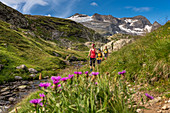 Wanderer in der Randinascia, 3. Tagesetappe Trekking del Laghetti Alpini, Tessin, Schweiz
