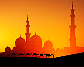 Mann mit Kamelen vor der Scheich-Zayid-Moschee bei Sonnenuntergang in Abu Dhabi, Vereinigte Arabische Emirate