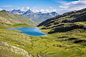 France, Alpes de Haute Provence, national park of Mercantour, Haute Hubaye, the lake of Lauzanier (2284m)