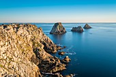 France, Finistere, Armorica Regional Natural Park, Crozon peninsula, Camaret-sur-Mer, Pointe de Pen-Hir, Tas de Pois