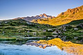 Frankreich, Savoie, Saint-Sorlin-d'Arves, Croix-de-Fer-Pass, der See Lac Potron (Höhe: 2050 m)