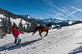 France, Savoie, Les Saisies, Beaufortain, Skiing Joëring
