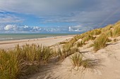 France, Pas de Calais, Stella plage, beach and sand dune