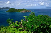 France, Guadeloupe, Les Saintes archipelago, Terre-de-Haut, Les Saintes bay is the third most beautiful bay in the world