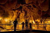 France, Ardeche, Annonay, Vallon Pont d'Arc, Cavern of Pont d'Arc, exact replica of the Chauvet cave, listed as World Heritage by UNESCO