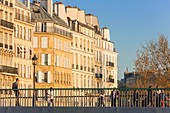 Frankreich, Paris, von der UNESCO zum Weltkulturerbe erklärtes Gebiet, die Brücke Saint-Louis und die Gebäude der Ile Saint-Louis im Hintergrund