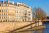 Frankreich, Paris, von der UNESCO zum Weltkulturerbe erklärtes Gebiet, die Ufer der Seine und die Gebäude der IIe Saint-Louis im Hintergrund
